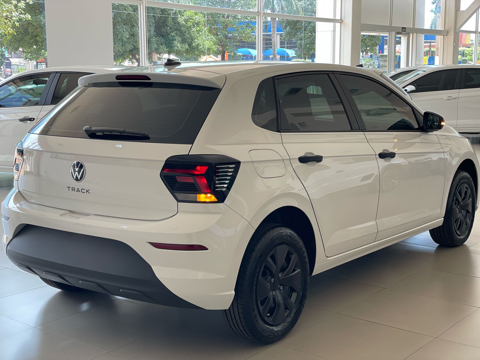 ilustração do Polo